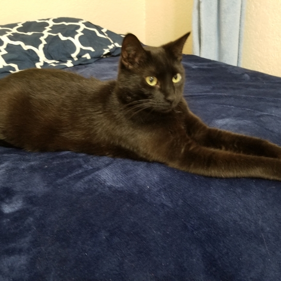 Meet your Posher, Sunshine - Picture 5 of 9